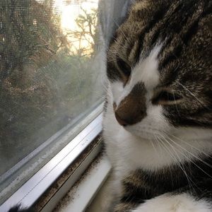 Meet your Posher, Alexia